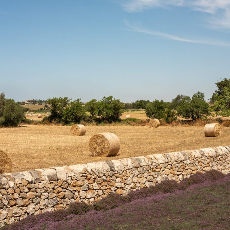 464-sicily-country-e1663080400261